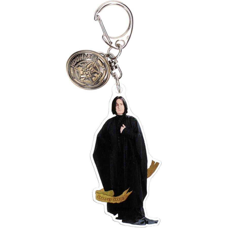 Set completo de llaveros acrílicos Hogwarts