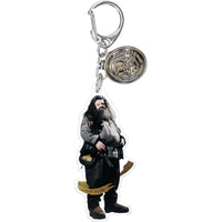 Set completo de llaveros acrílicos Hogwarts