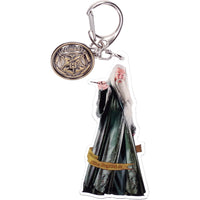 Set completo de llaveros acrílicos Hogwarts