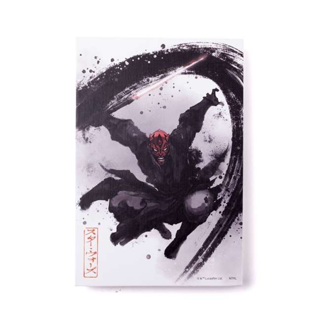 Cuaderno acordeón de Star Wars: Darth Vader y Darth Maul