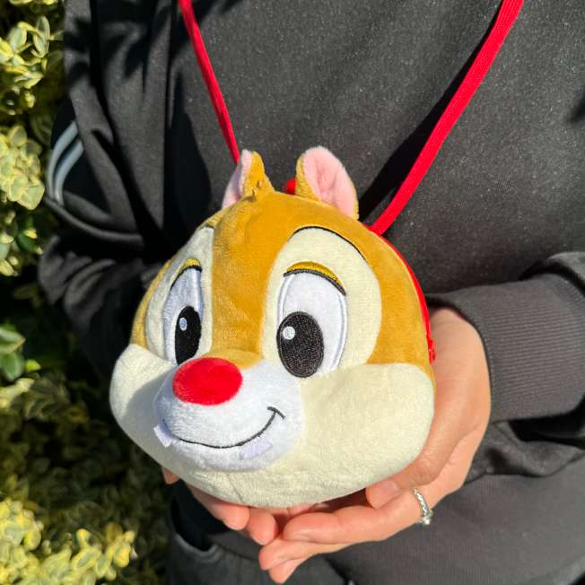 Bolso tipo pochette de Dale con broche plástico