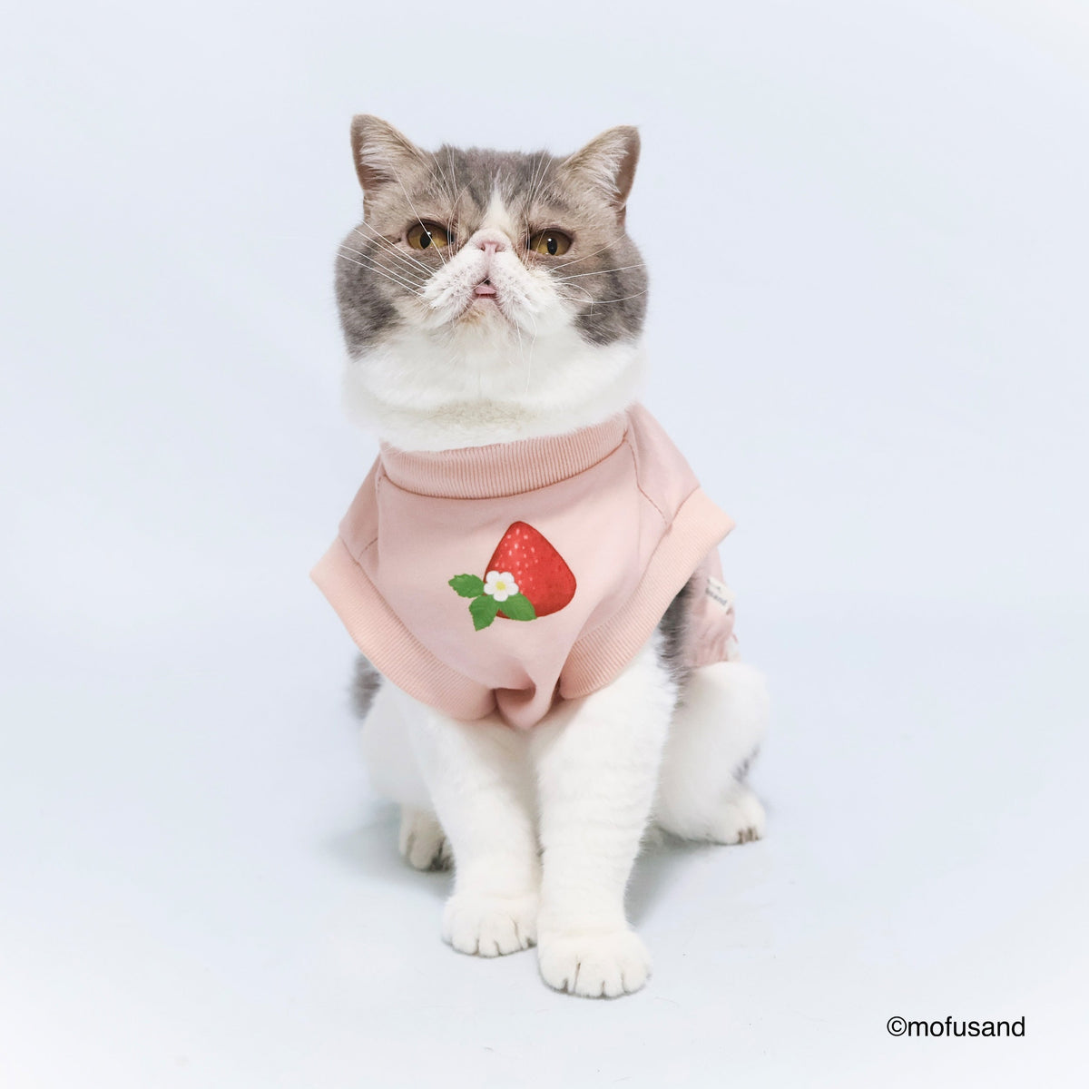 Polerón para mascota Mofusand Gatito Frutilla