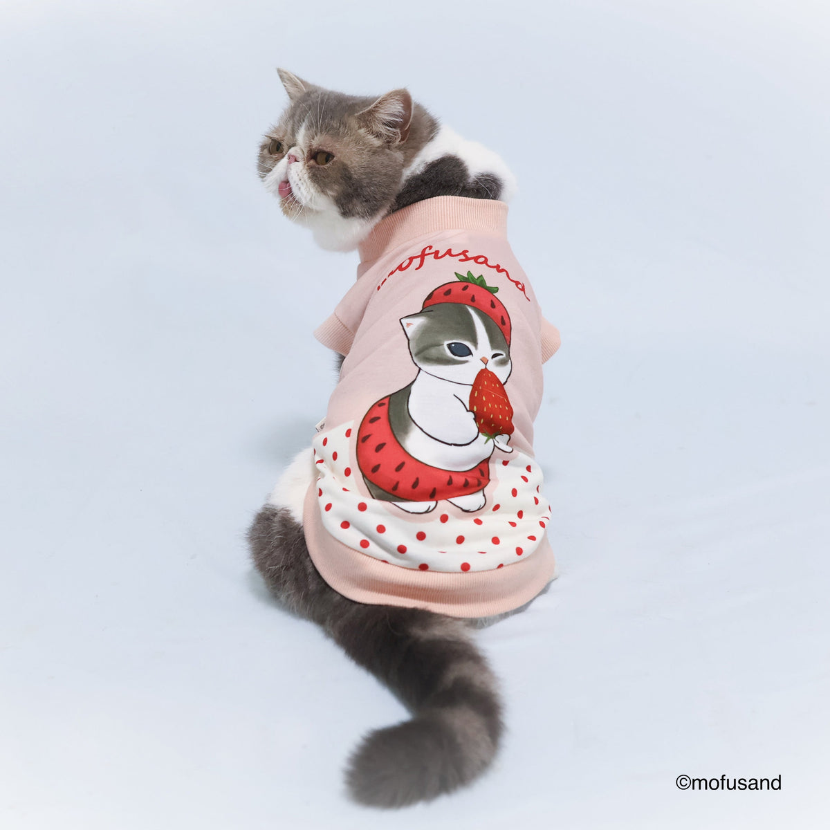 Polerón para mascota Mofusand Gatito Frutilla