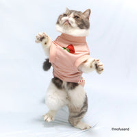 Polerón para mascota Mofusand Gatito Frutilla