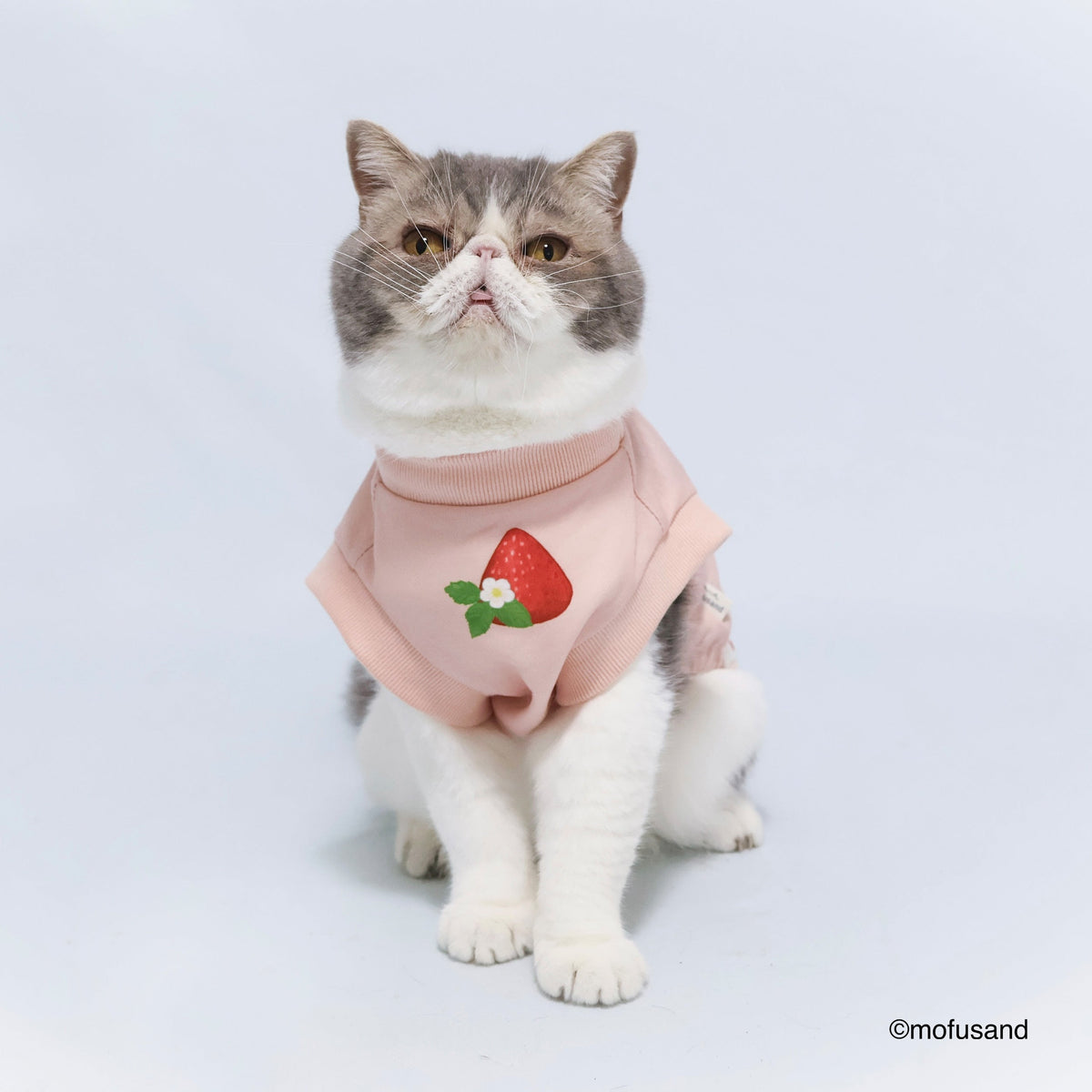 Polerón para mascota Mofusand Gatito Frutilla