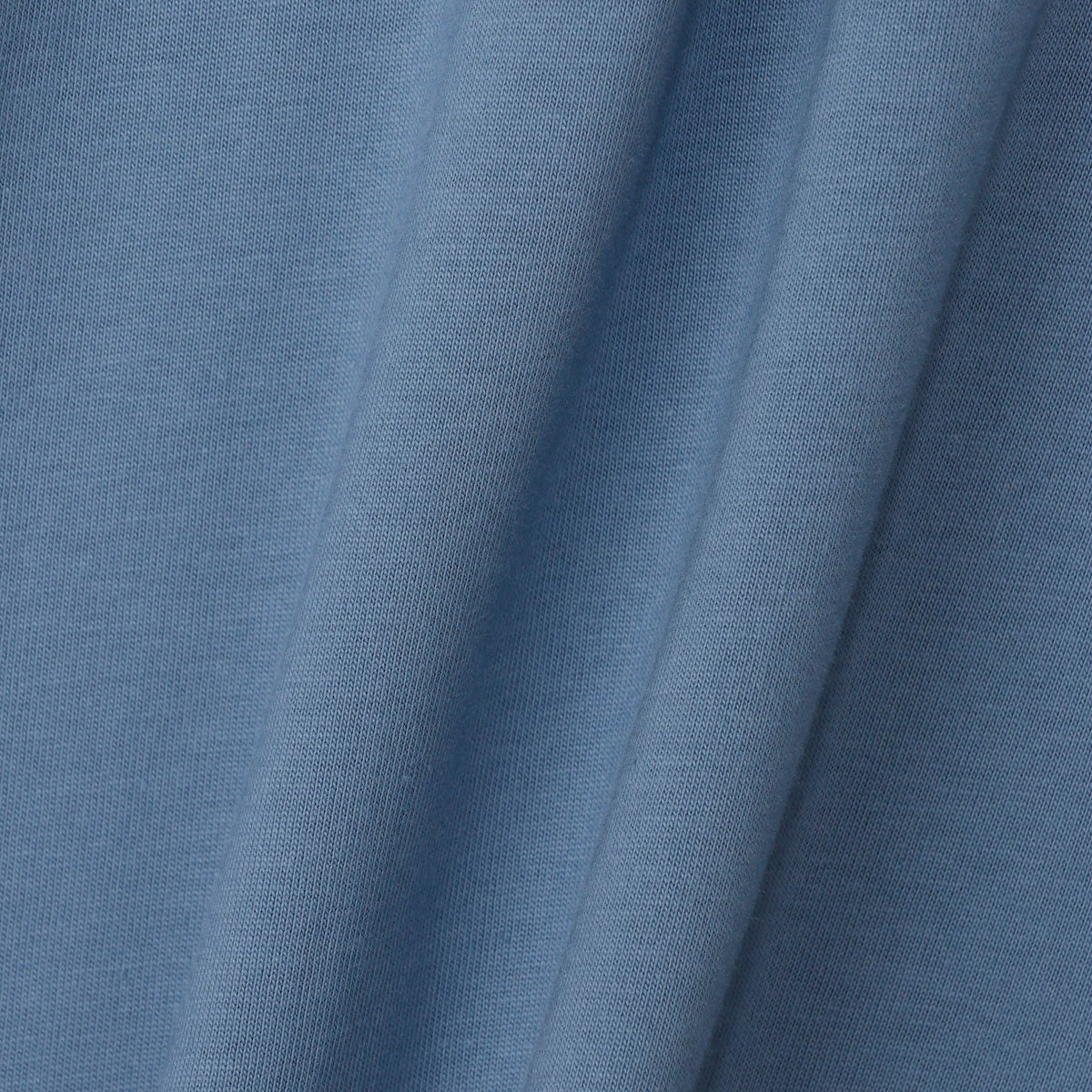 Polera manga larga mofusand Woodlands Mushroom azul celeste