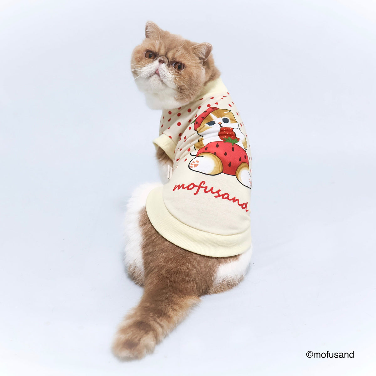 Polerón para mascota Mofusand Gatito Frutilla