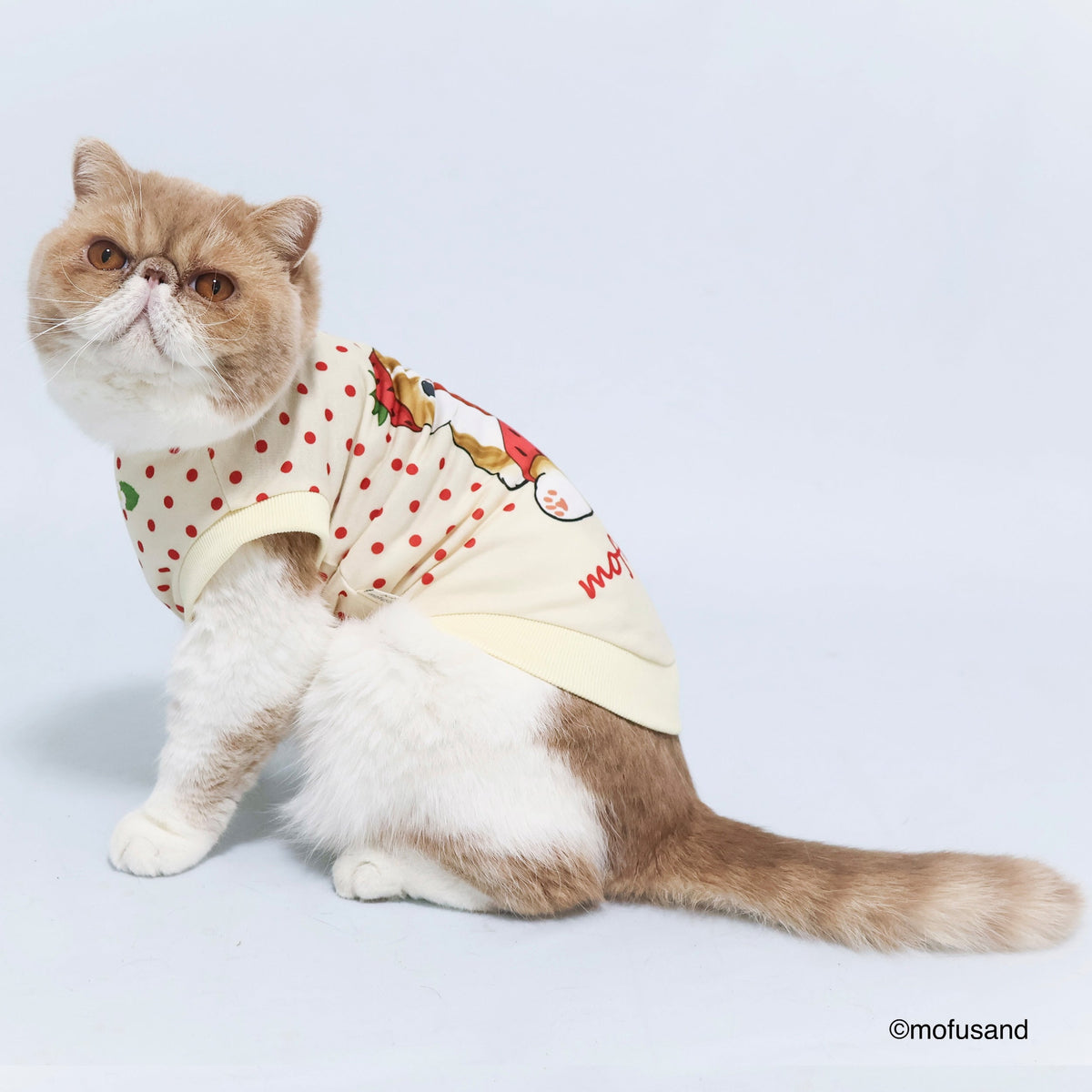 Polerón para mascota Mofusand Gatito Frutilla