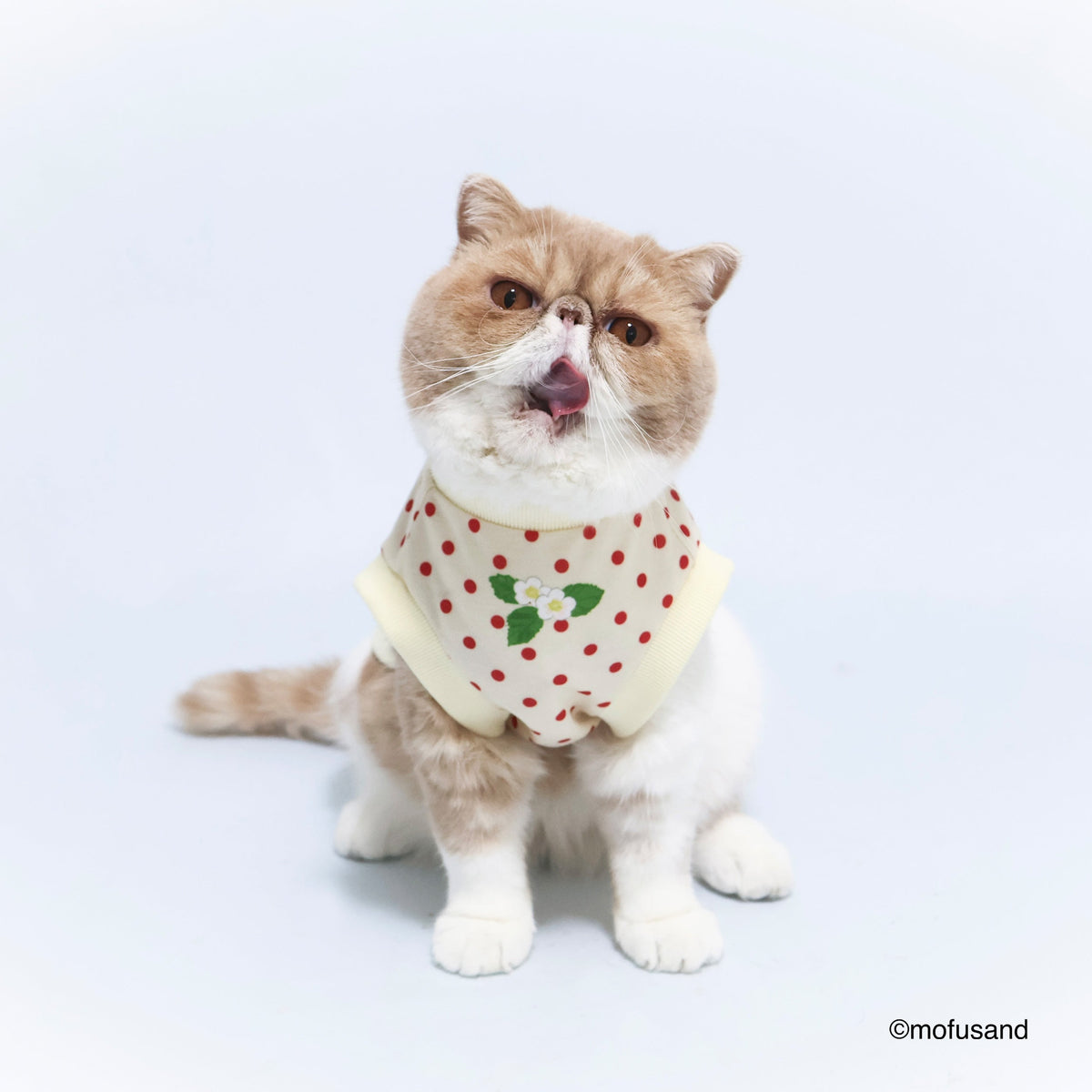 Polerón para mascota Mofusand Gatito Frutilla