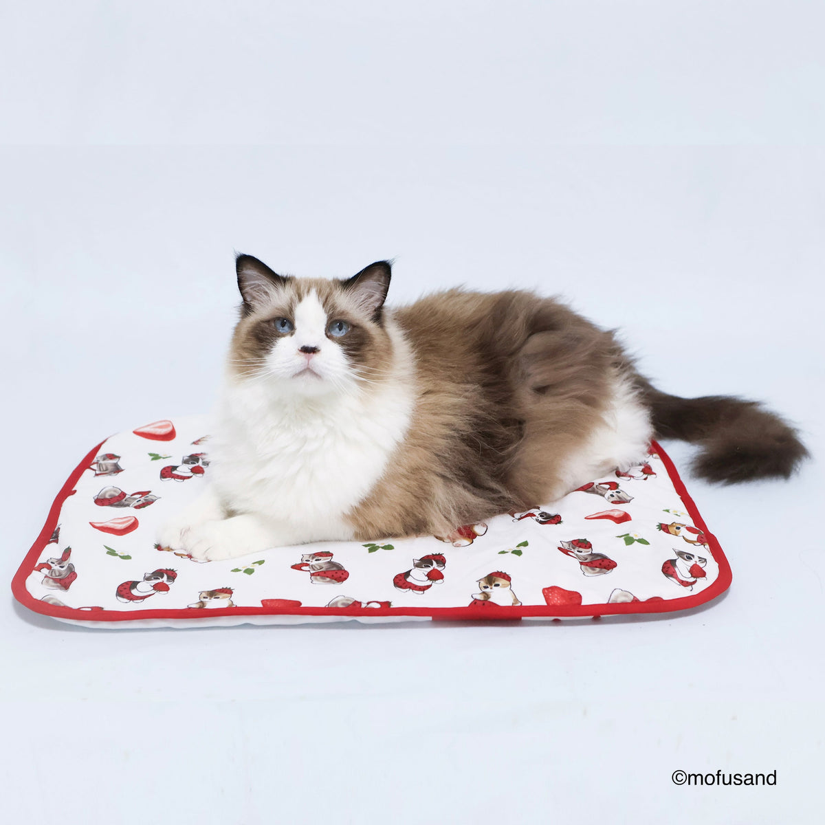 Manta reversible Mofusand de gatito con frutilla