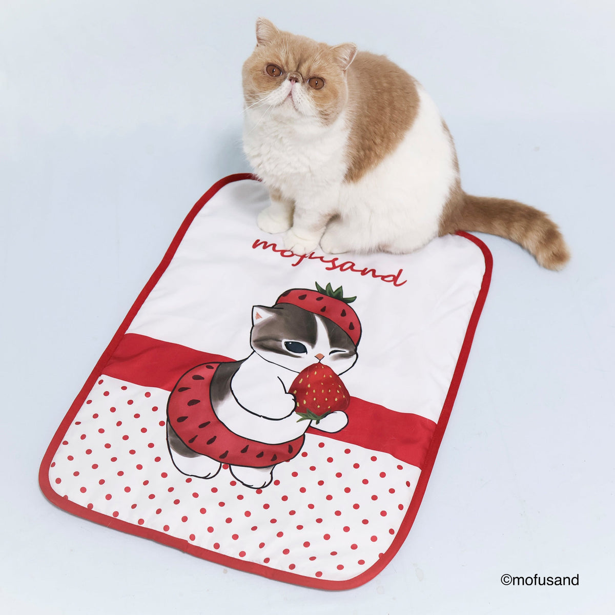 Manta reversible Mofusand de gatito con frutilla