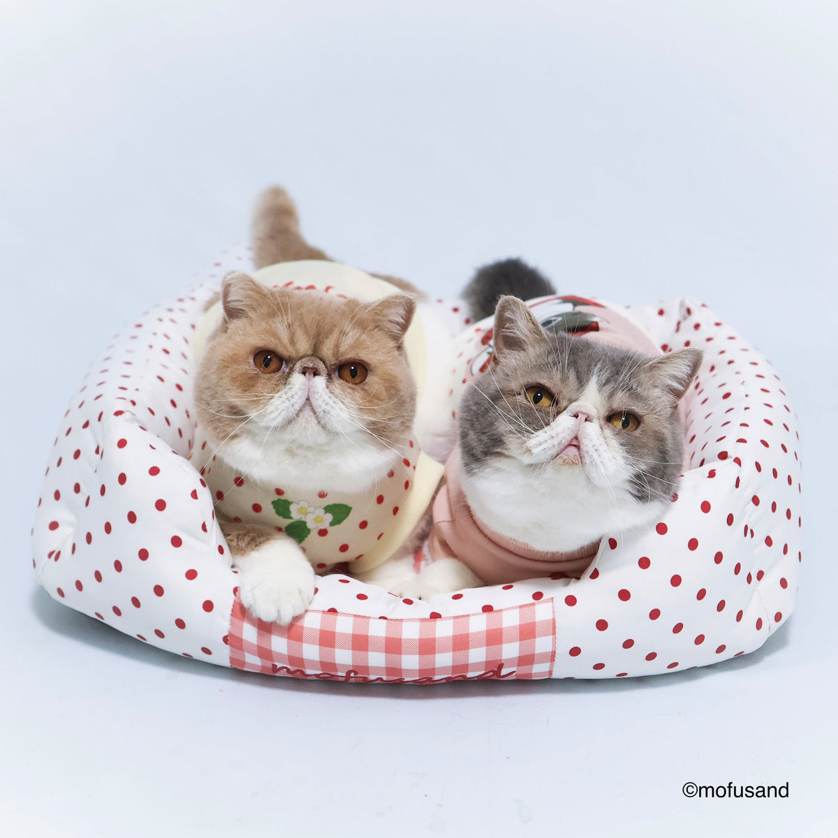 Cama tipo sofá para mascotas Mofusand Gatito Frutilla