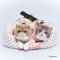 Cama tipo sofá para mascotas Mofusand Gatito Frutilla