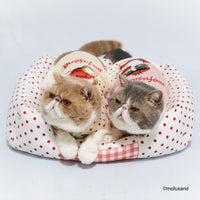 Cama tipo sofá para mascotas Mofusand Gatito Frutilla