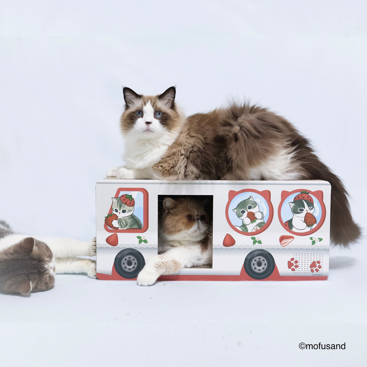 Rascador para gatos mofusand Gato Frutilla