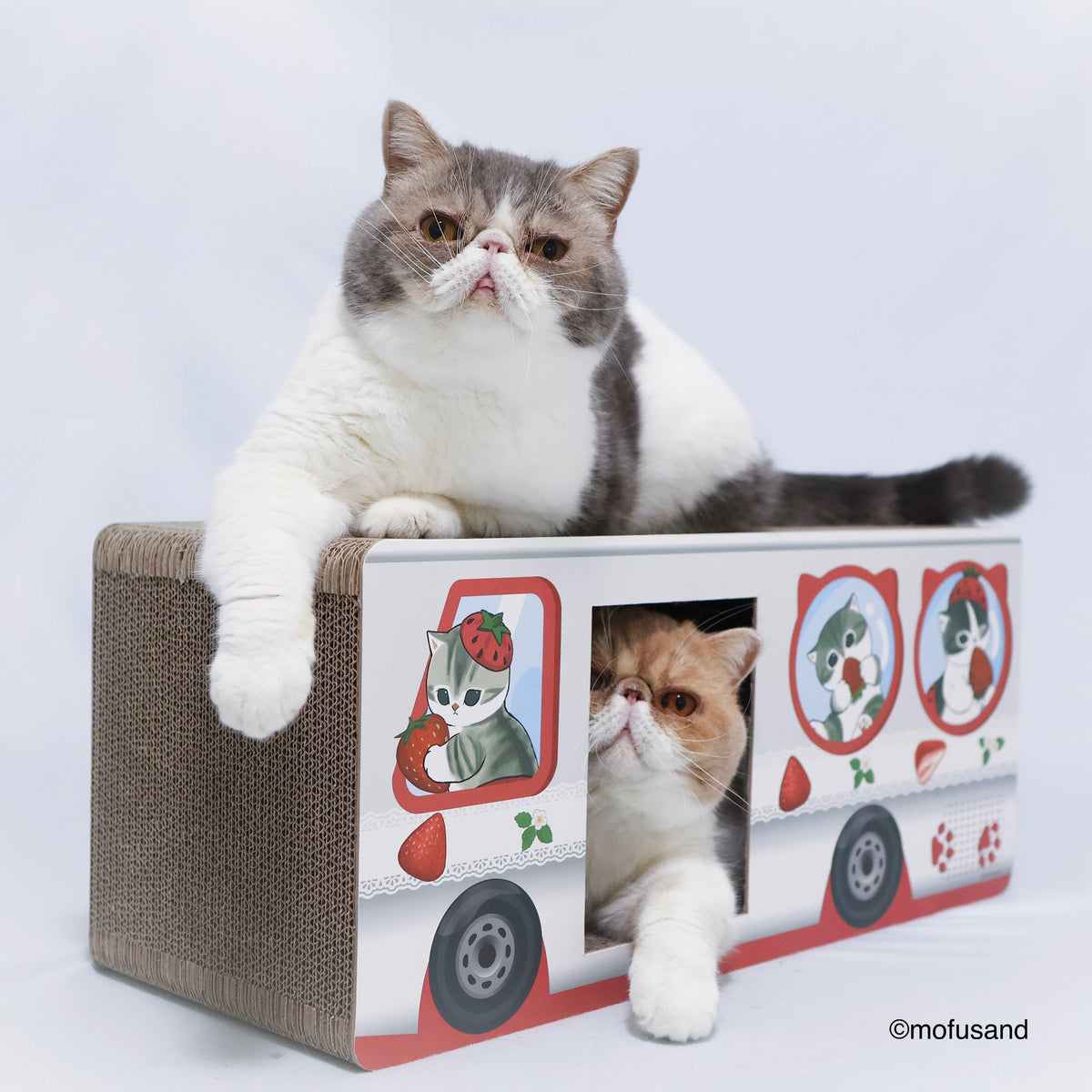 Rascador para gatos mofusand Gato Frutilla