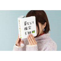 Estuche tipo libro de Chiikawa