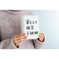 Estuche tipo libro de Chiikawa