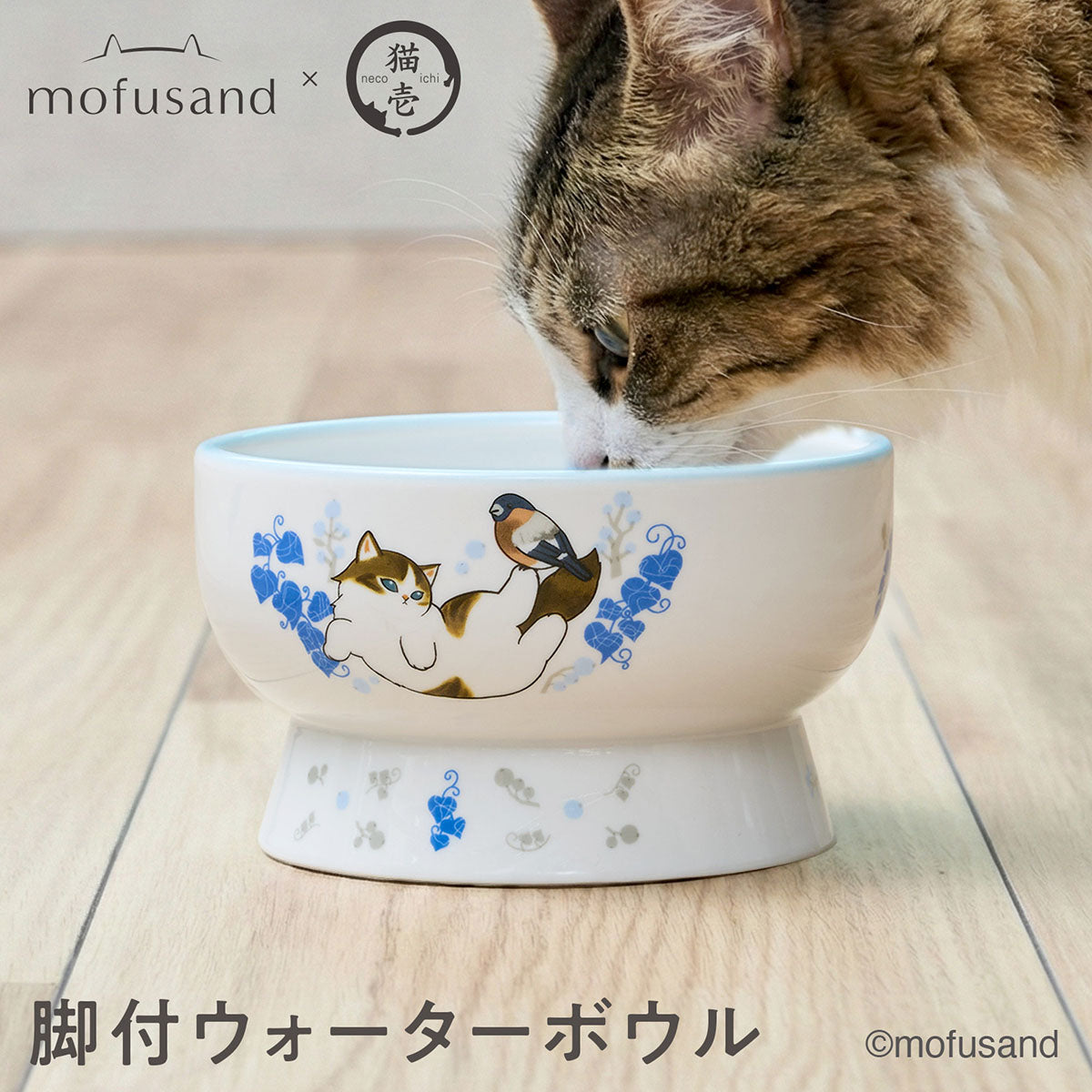 Bowl elevado para agua de gato mofusand