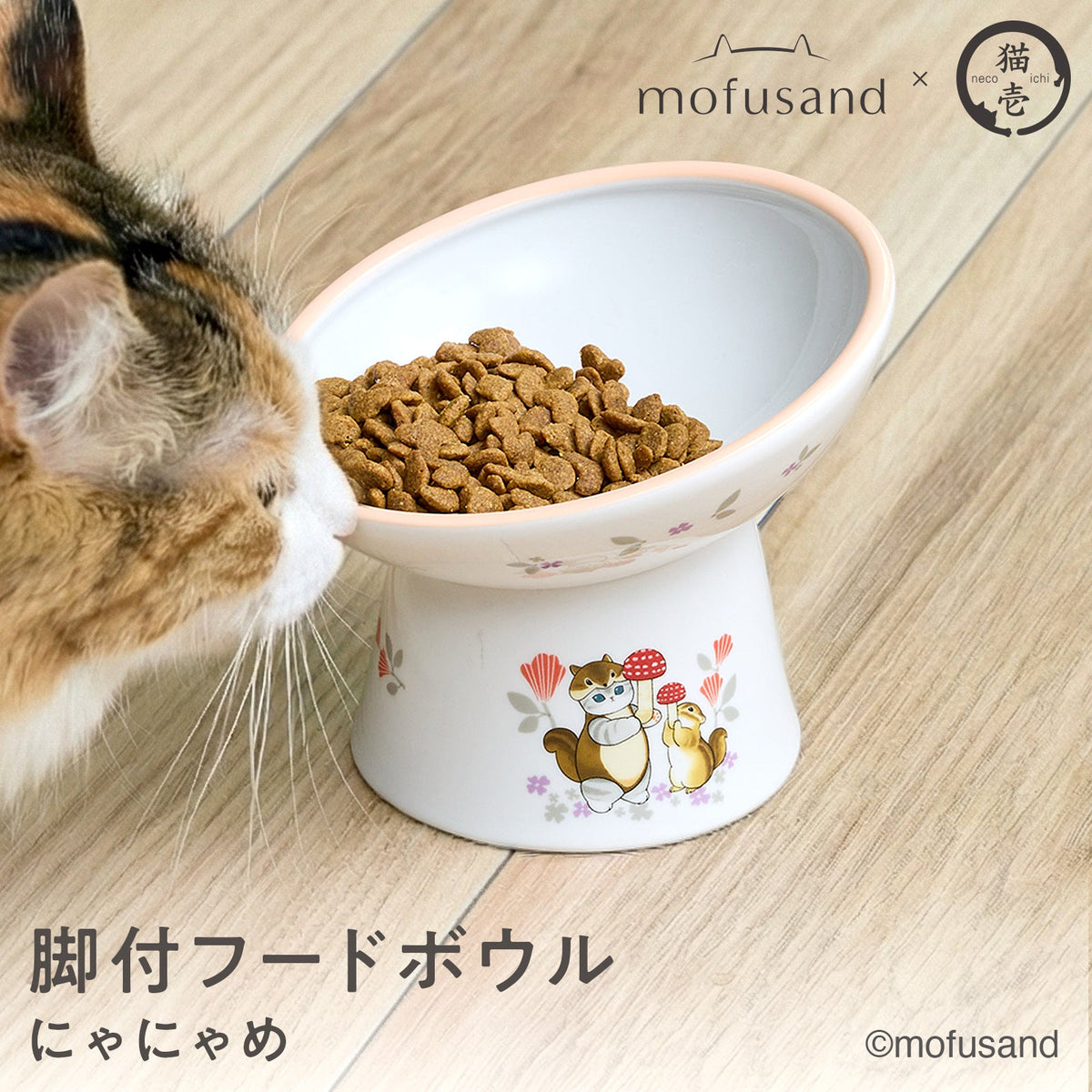 Plato elevado inclinado para gatos mofusand