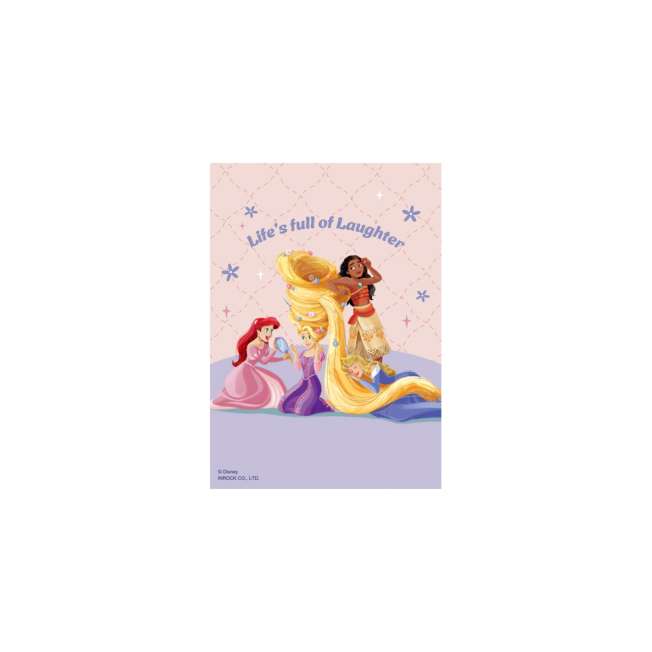 Libreta desplegable Disney Princess