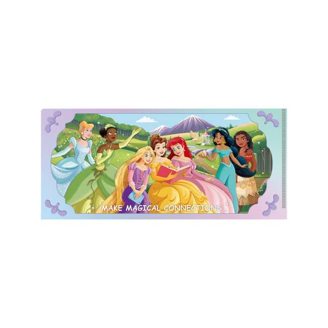 Porta boletos Disney Princess