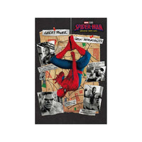 Postal 3D Spider-Man: Brand New Day B