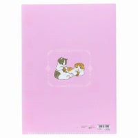 Carpeta transparente mofusand de 5 bolsillos - Tapioca