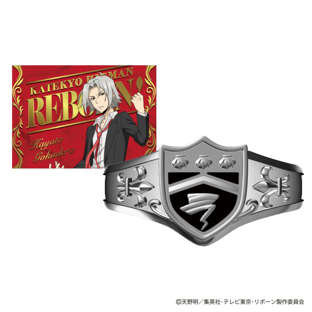 Anillo Vongola de Tormenta con tarjeta especial - Reborn!