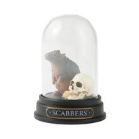 Figura Scabbers bajo cúpula de vidrio | Harry Potter