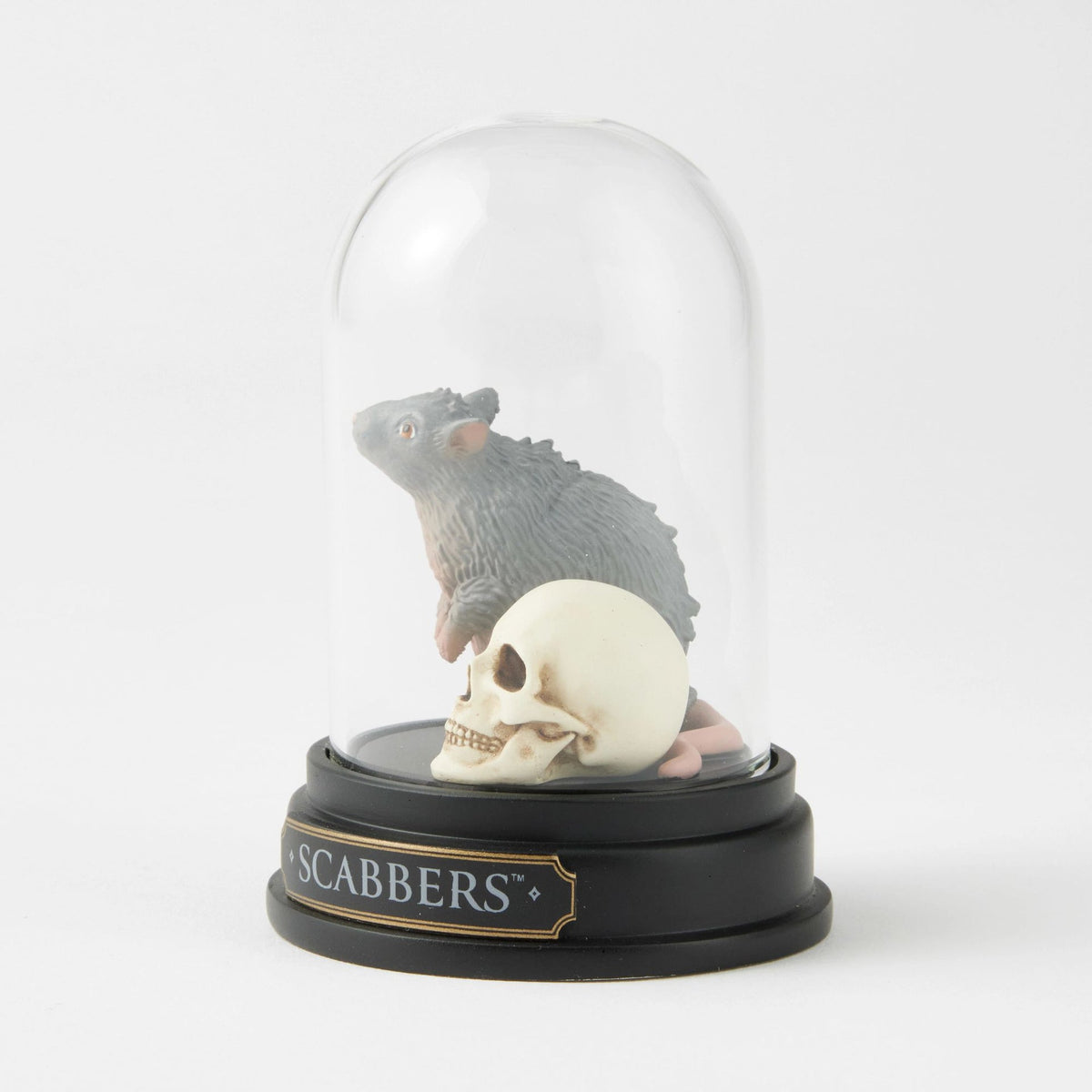 Figura Scabbers bajo cúpula de vidrio | Harry Potter