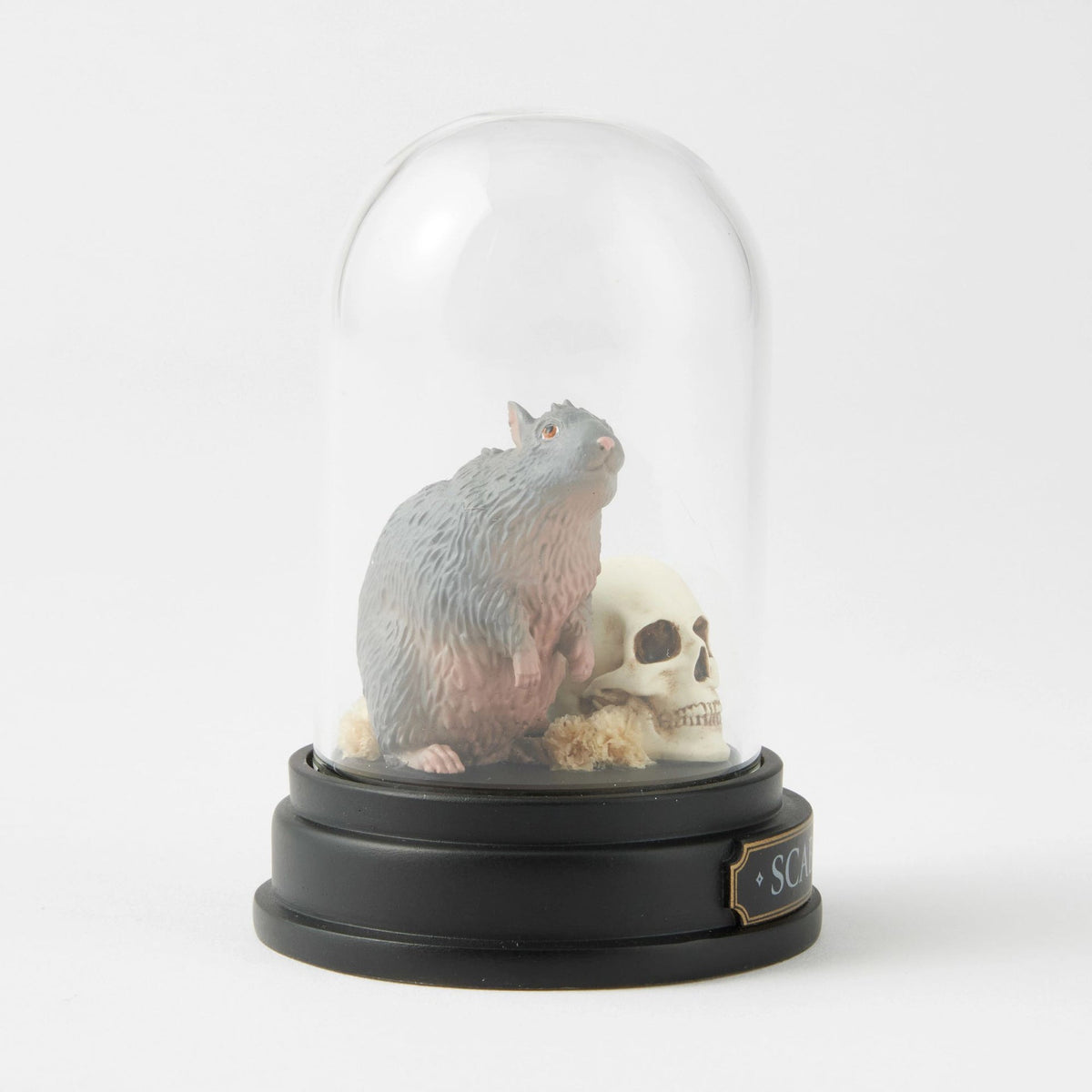 Figura Scabbers bajo cúpula de vidrio | Harry Potter