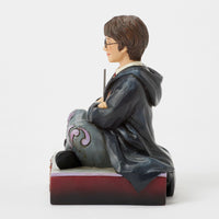 Harry Potter con varita | Figura Jim Shore