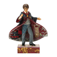 Harry Potter Magical Moment de Jim Shore | Figura