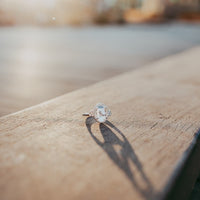 Anillo del 75.º aniversario de Cinderella
