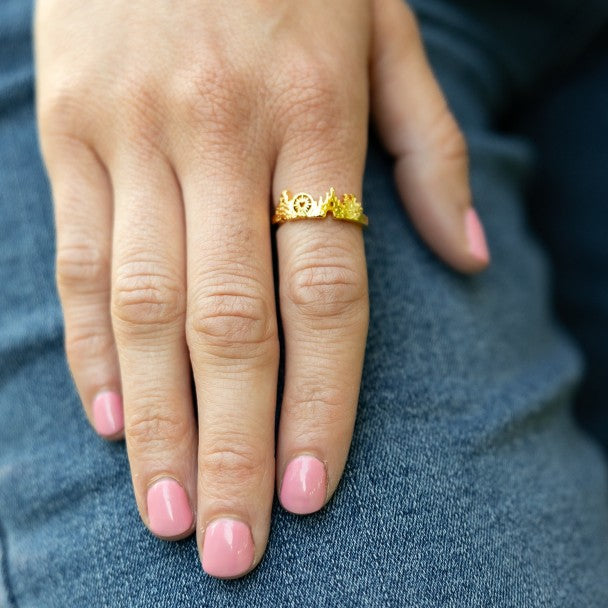 Anillo de atracciones de Disneyland, de Rebecca Hook