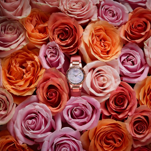 Set de reloj y pin de Belle | La Bella y la Bestia