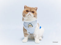 Ropa refrescante para mascotas mofusand