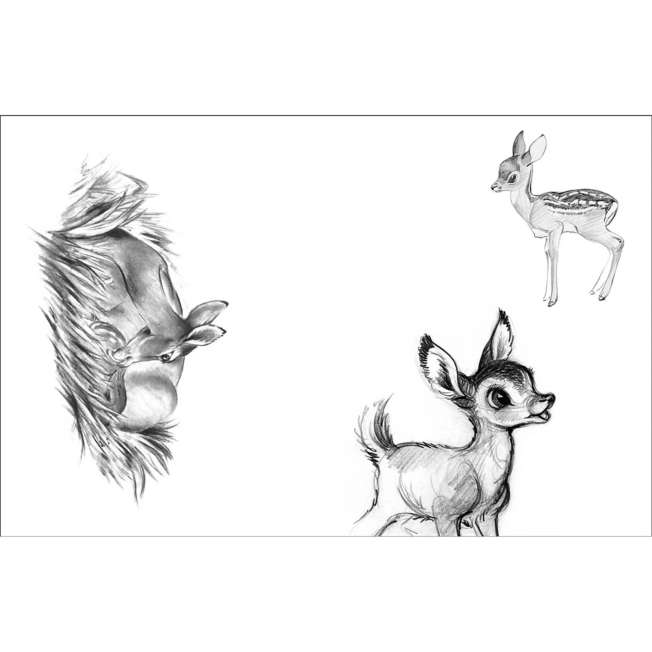 Disney Sketchbook: bocetos de animación