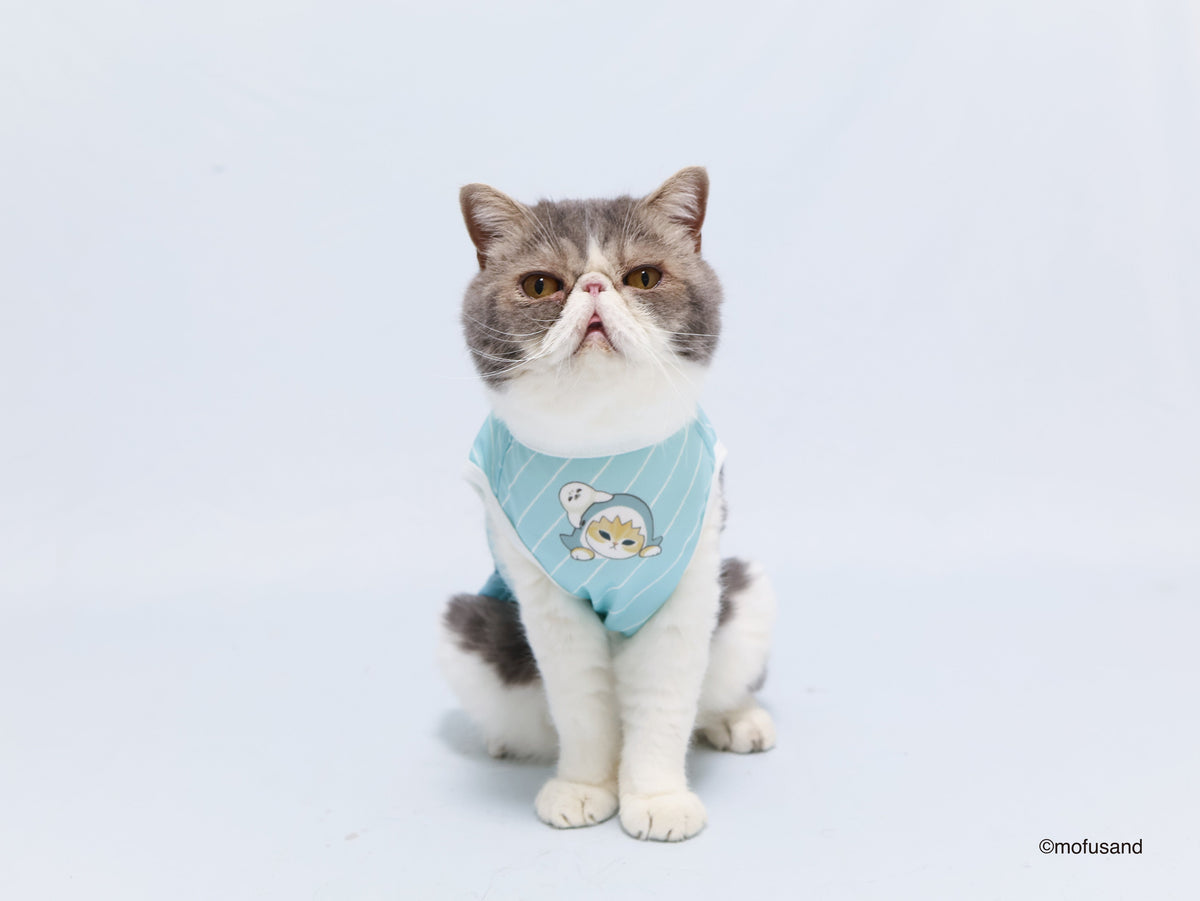 Ropa refrescante mofusand para mascota