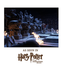 Set de ajedrez mágico de Harry Potter