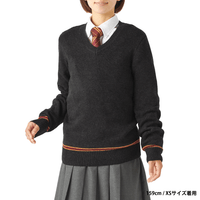 Polerón Escolar de Gryffindor