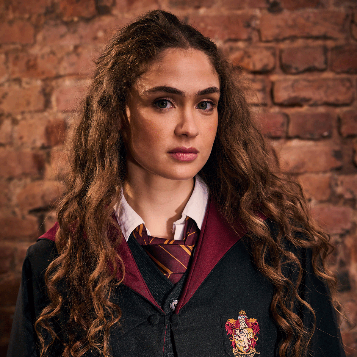 Corbata de la casa Gryffindor