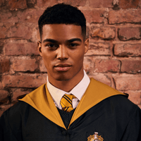 Corbata de la Casa Hufflepuff