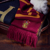 Set de regalo baúl Harry Potter