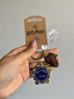 Llavero Chocolate Frogs Harry Potter Tokyo