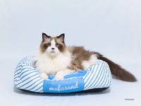 Cama refrescante para mascotas mofusand