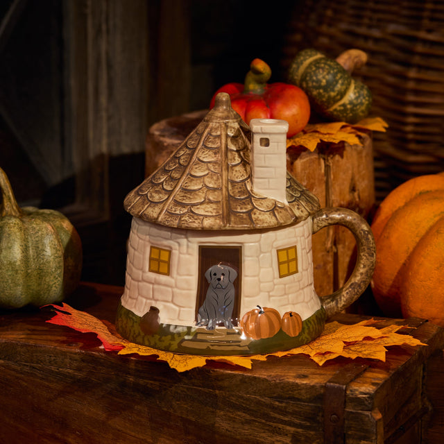 Taza Hagrid's Hut con tapa