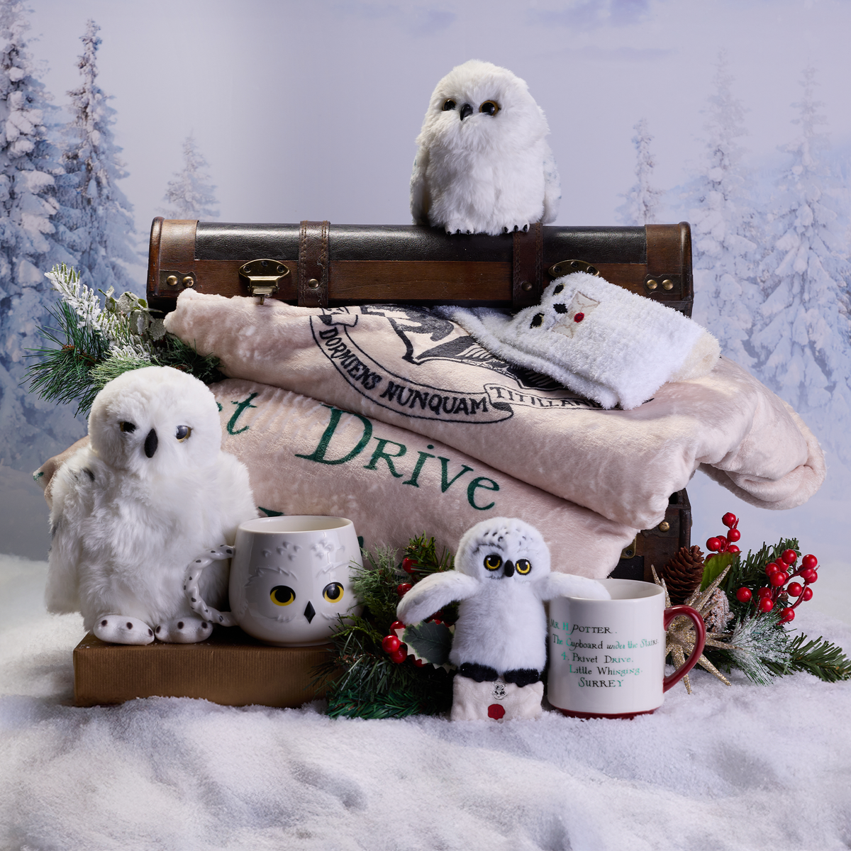 Taza Cozy de Hedwig