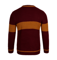 Polerón de Quidditch Gryffindor